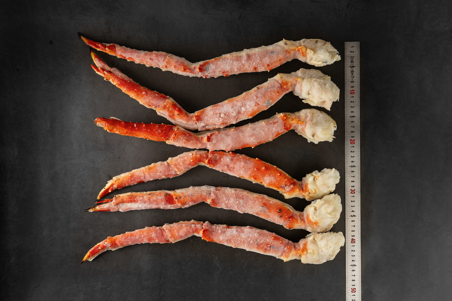 Patas de cangrejo real con regla: calibre L